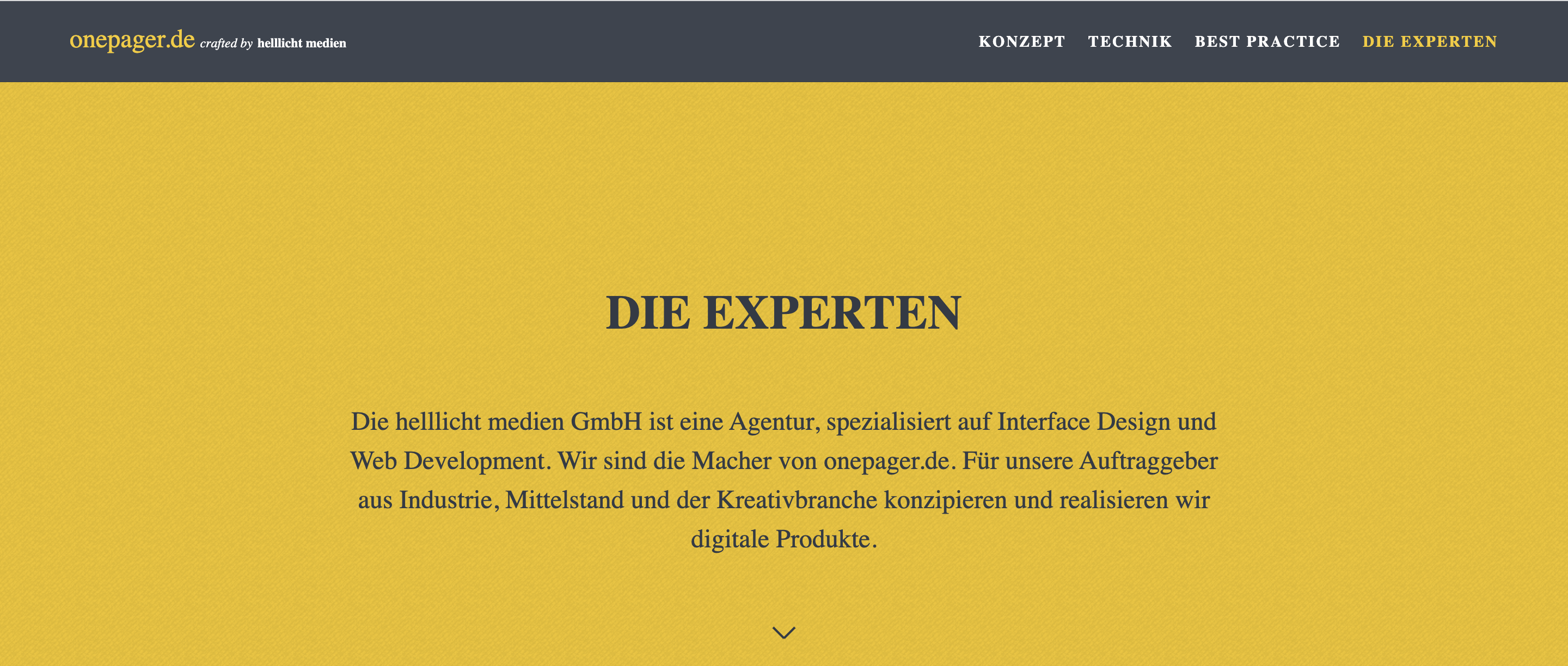 Beispiel: die Website onepager.de